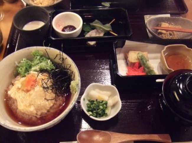 最後に雰囲気の良さげな湯葉のお店に入って夕食！<br /><br />あんかけ湯葉丼？かな。<br /><br />イマイチでしたー（笑）<br /><br />だしたこが一番うまかった！！！！<br /><br />そしてＪＲで京都駅まで向かい。。。東京へと帰りました。。。<br /><br />ものすっごい充実してた一日でした！！<br />やっぱり嵐山さいこーーー！<br />また絶対来る！