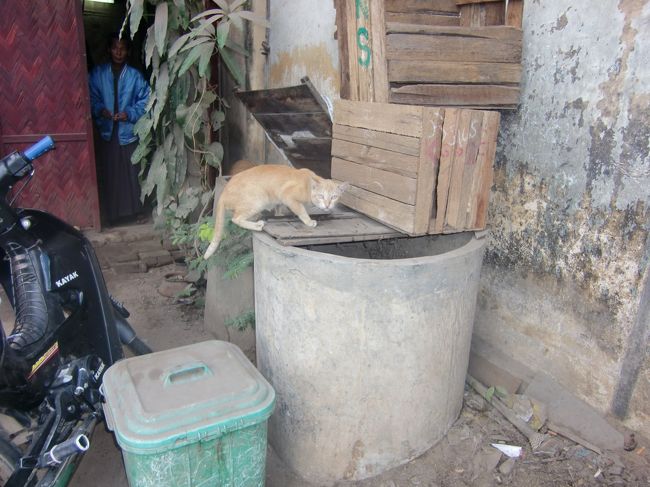 井戸を覗く目が怖い猫なんかも、、、<br />まあ、どうってことはないが。