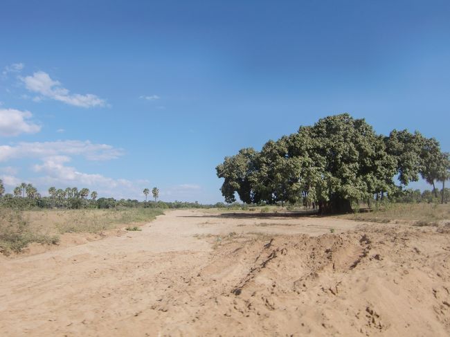 まわりはこんな感じで、ほんとうに何にも無い。
