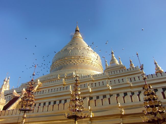 鳩がいっぱいいて、ロート製薬のCMを思い出す。