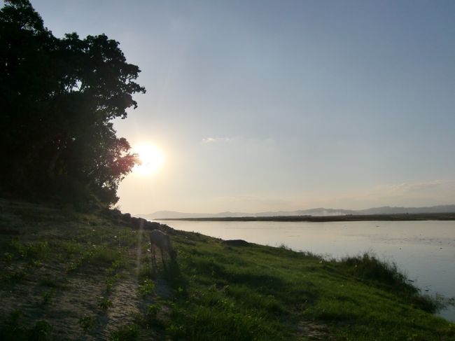 川ではミャンマーの人たちが水浴び中。<br /><br />夕日を眺めてると、草を食べてる牛が1頭。