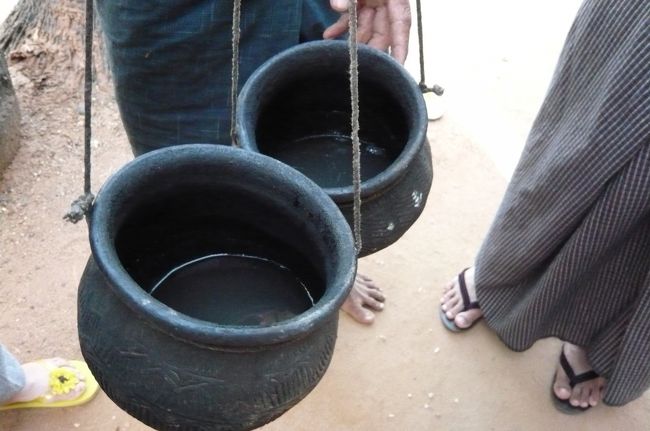 昨夕取り付けた容器です。　案外少ない、　これを煮詰めたり、醗酵させたりして、ヤシ酒　椰子砂糖などを造ります。結構　手間がかかるのね！