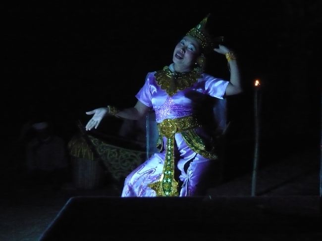 ダンサーは二人、この年配らしき人　さすがに　上手い！　唄って、踊って、　年季を感じる。　踊りはカンボジアで見た　アプサラダンスに似ていた。