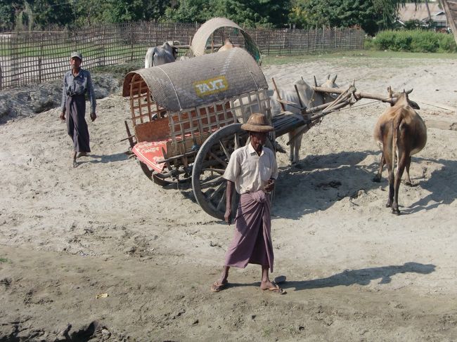 船は小一時間で到着。<br /><br />船着場にはTAXと書かれた牛車がお出迎えだ。