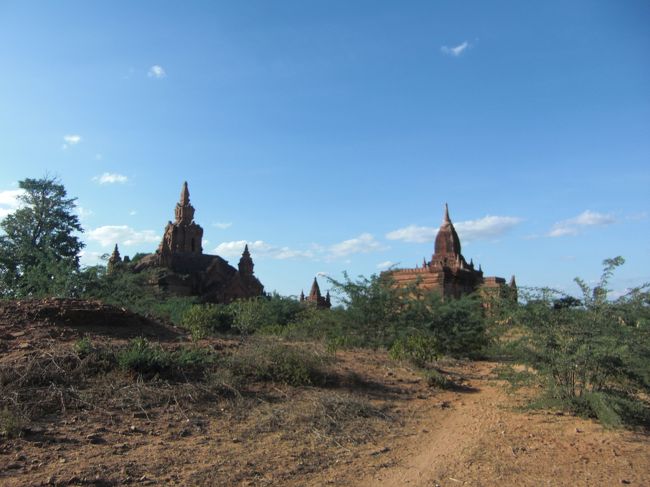 マウンテンバイクを使って道なき道をどんどん進んで行きました。途中、犬に吠えられまくるハメに・・・