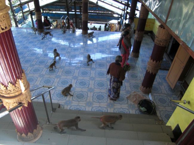 途中サルがいっぱい襲ってきます。そして裸足なので、サルのウン○に超注意！！！