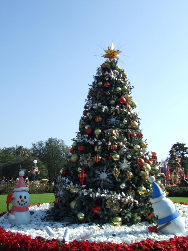 ツリーかわぁいい☆