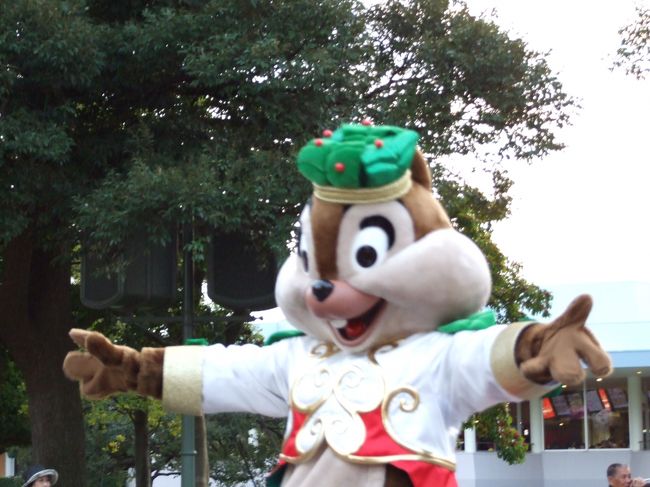 チップちゃん。<br /><br />お洒落ですね♪