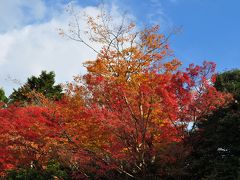 霊鑑寺
前の日に天皇・皇后陛下が訪れたとのことです。それだけのことはあって紅葉が非常にきれいでした。通常は公開されていないとのことです。