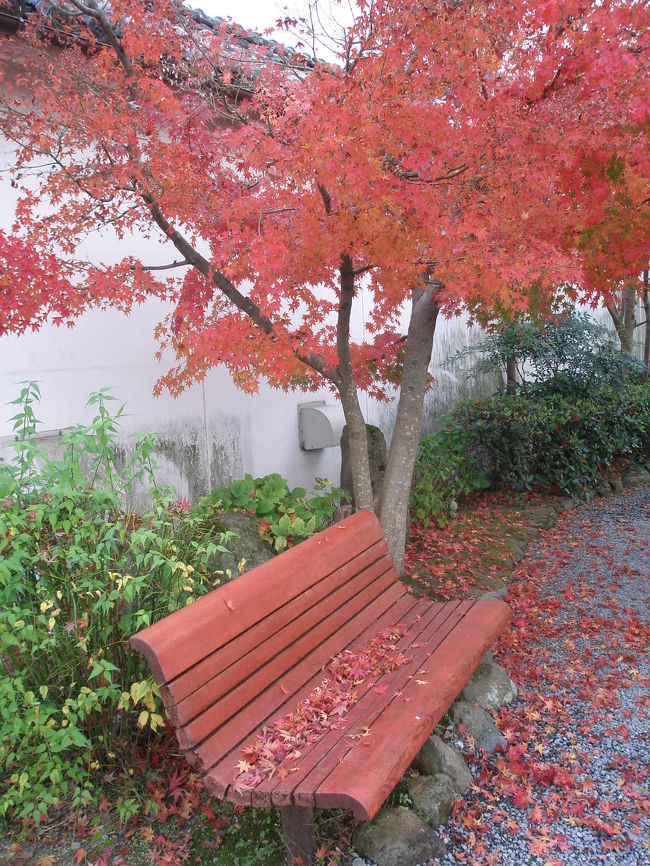 意外と紅葉が残ってますね。耶馬溪より真っ赤で綺麗かも・・・