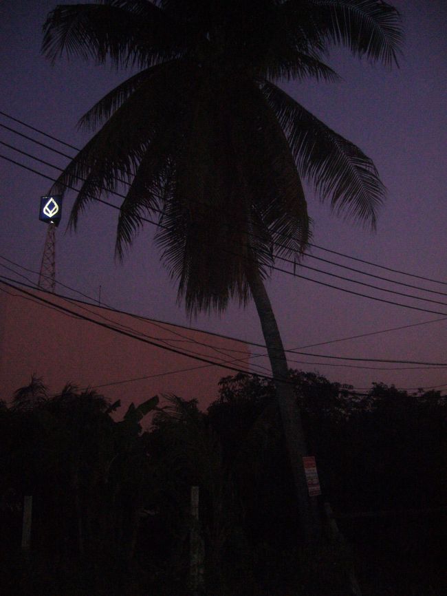 前の日に深夜3時ぐらいに寝たのにもかかわらず朝の６時に起きて朝の散歩に出かけた。 <br />何か海外での朝の散歩ってオシャレじゃない？？っていう自己満だけの世界に陥りたくて散歩に出かけた。 <br />しかし海外とは言うものの、あくまでタイの首都バンコク。 <br />しかも格好は日根野ズボンにNIKEのジャージ＋河合のPLAYBOYの帽子。 <br />間違いなくバンコクで日根ジャを着たことのある奴は俺だけだろう。 <br />そういう意味では俺も一種のパイオニア的存在。 <br /><br />さて散歩のほうは、まずゲストハウスから出た瞬間、蝉の鳴き声。。。 <br />しかも日本のとはちょっと鳴き方？鳴き声？が違う。 <br />マジで。 <br />気候は早朝というだけあって、肌寒いとまではいかんけど日本の夏の朝的な感じ。 <br />臭いは終わってる。暗い。 <br />こういう写真を見ると『おっ！結構南国っぽいやん』とか思うと思う。 <br />でもよく考えてみるとJAPANにもこの程度の木ぐらいある。 