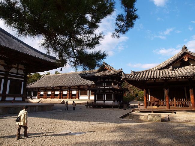 金堂　講堂　舎利殿　<br /><br />東室　礼堂 (長堂）