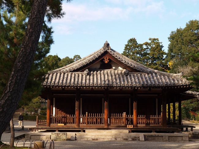 鎌倉時代建立<br /><br />　礼堂　東室　（長堂）　重要文化財<br /><br />夏の暑い日　夜行バスで親子で来た日<br /><br />草臥れて此処で一時休憩の思い出