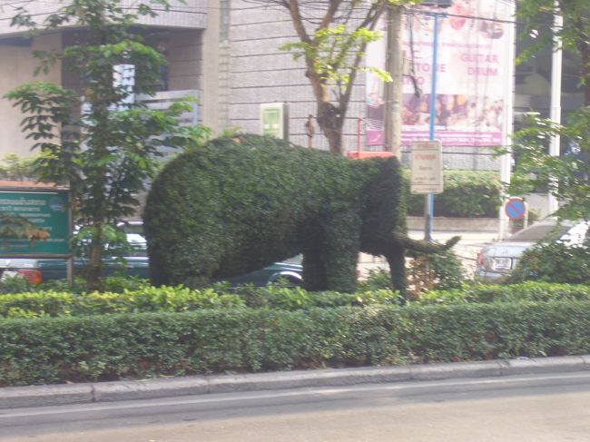 途中でこんなゾウとか出てきて、目に入るもん全部新鮮やから歩いてても楽しい。 