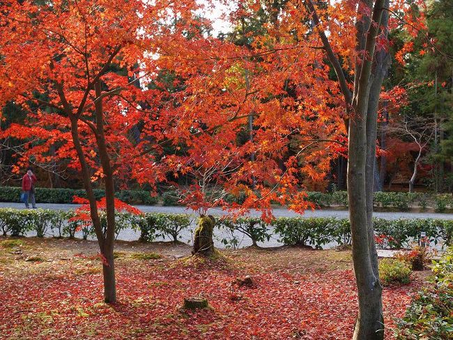 　いよいよ、、名残惜しいのですが<br /><br />　　　　南大門へ　