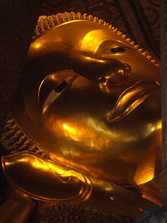 でかい。。。。 <br />良い顔してる。 <br />