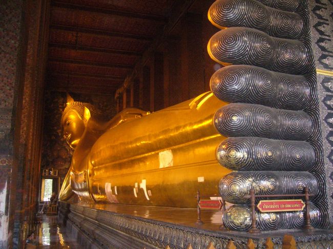 長い。 <br />ちなみに長さは46Mらしい。 