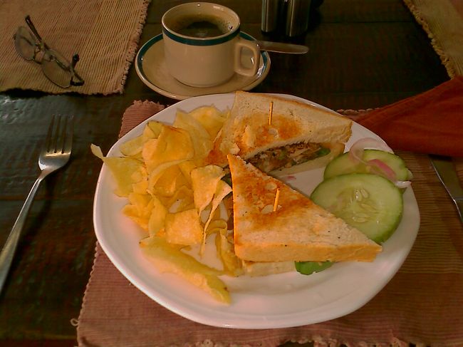 パタンのバス停につくやいなや、おなかが超すいたのとトイレに行きたいのとで、すぐ近くにあるカフェで昼食。<br /><br />メニューはタンドーリチキンサンドウィッチとコーヒー。