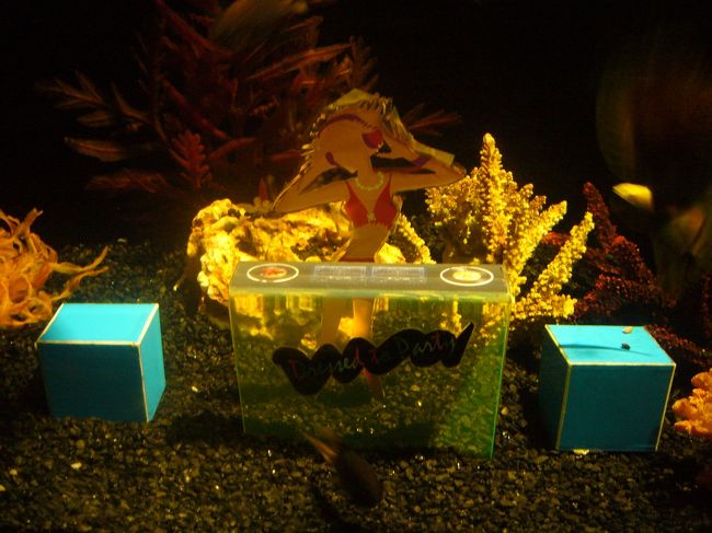まさかのパラゴンの地下に水族館があったので、ちょっと高いけど行ってみた。<br />何か見せ方が安っぽかった。<br />でも東南アジア最大のアクアリウムらしい。