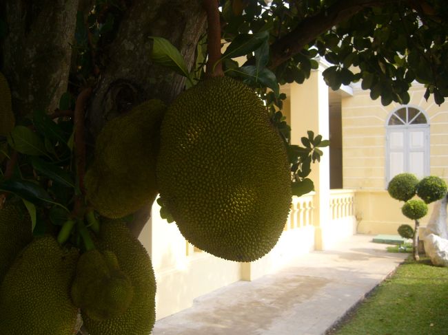 これホンマきもかった。<br />何だろ？？