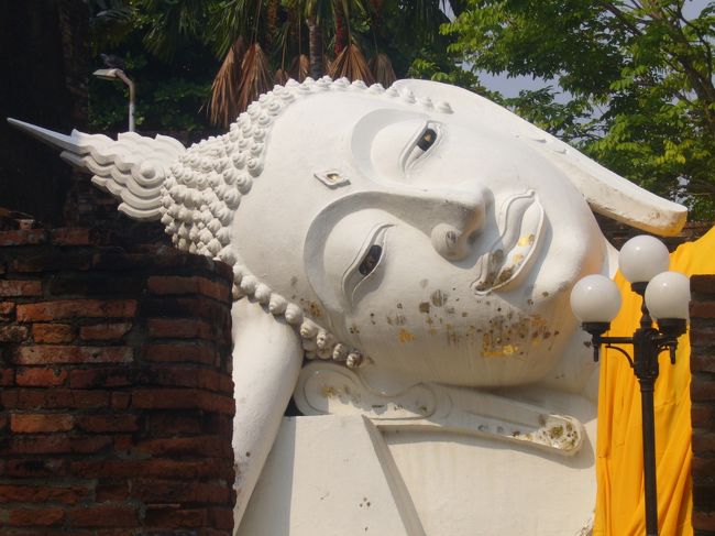 ここまで豪快に寝られると