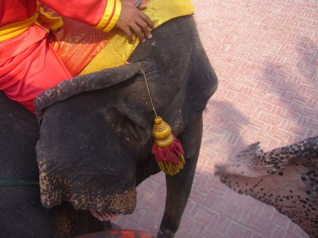 いざ乗ってみると、揺れる揺れる。<br />ずっと小さい崖の横ギリギリ歩いてたから、めっちゃ怖かった。