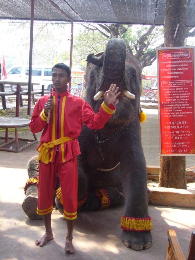 いろんな芸を見せてくれました。
