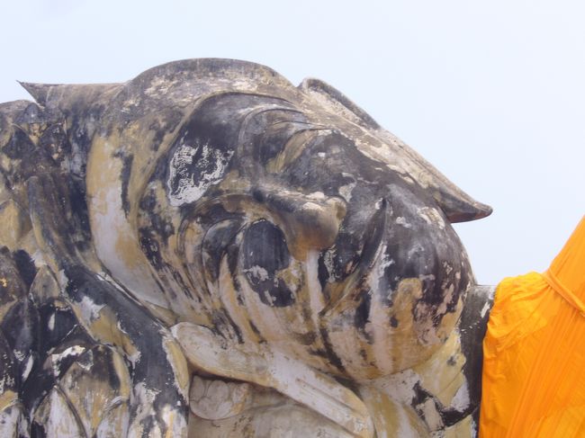 ちょっと顔は卑猥かなと