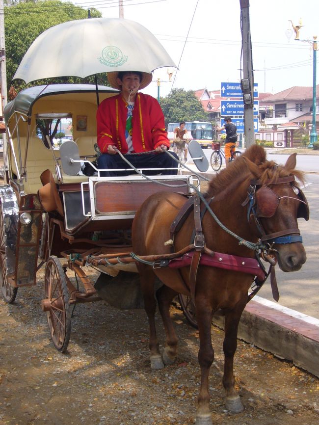 ゾウだけでなく、馬も<br />しかも衣装付きで<br /><br /><br />アユタヤはバンコクのあわただしさとは違った空間でした。