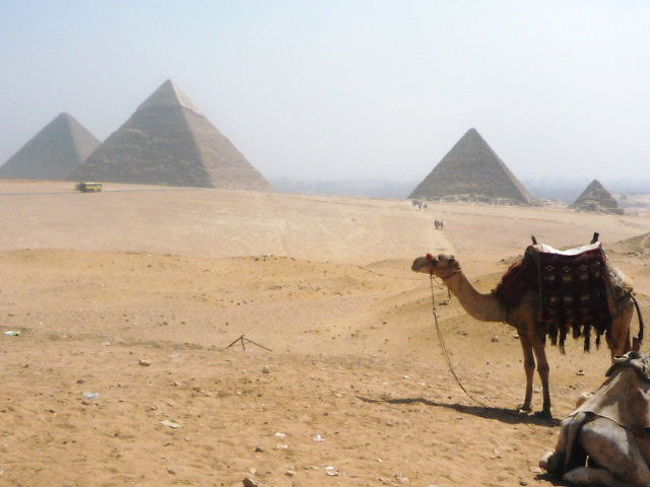 ﾗｸﾀﾞに乗ったけどほんの２〜３分で終わり。<br />降りるときはちょっと不安定で怖い。<br />