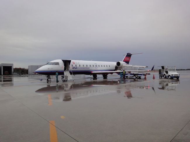 　広島空港から成田に向かうアイベックス・エアラインズ、カナダ製ボンバルディア機。