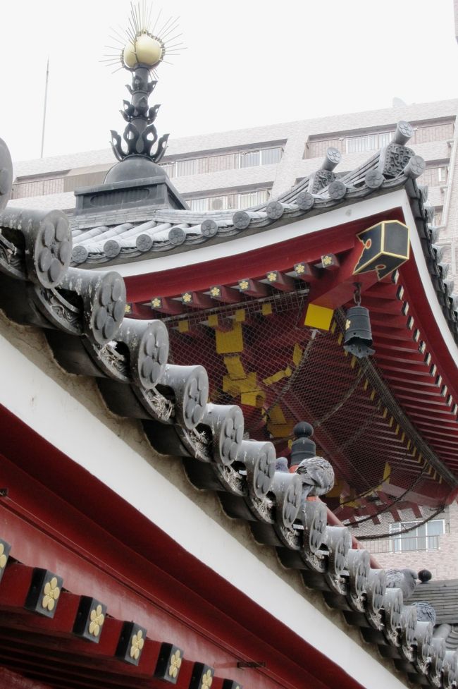 同じく、少し斜め方から眺めた紫雲殿の光景です