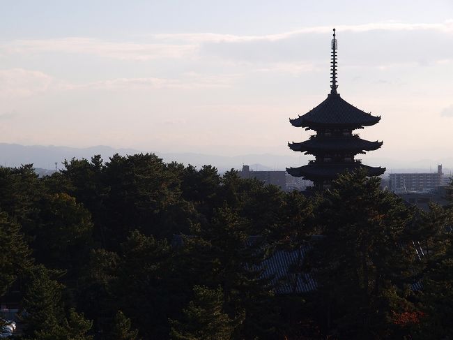 エレベーターに乗り　一直線<br /><br />　　屋上へ<br /><br />目前は　興福寺五重塔