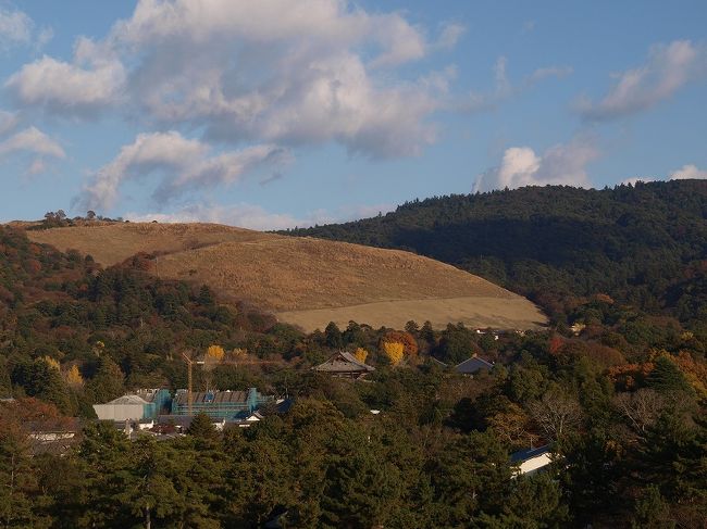 絶景　若草山　一年ぶり
