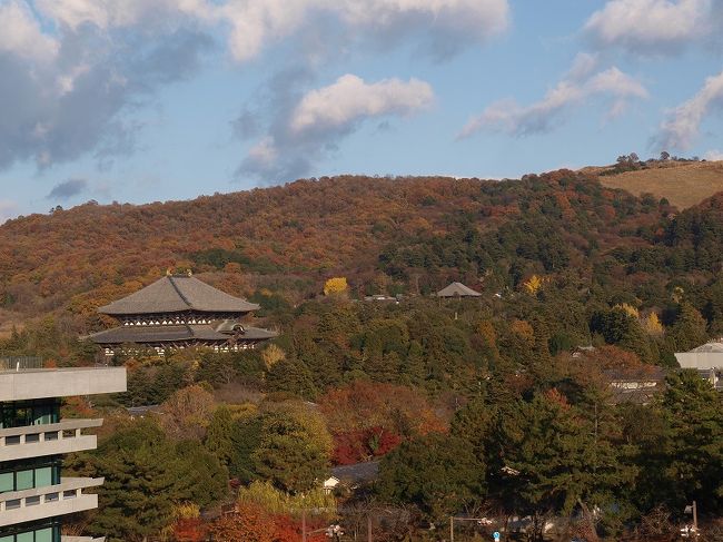 県庁別館の先は<br /><br />　黄葉の見える東大寺大仏殿