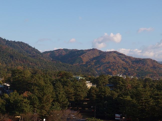 三笠山。。かな？