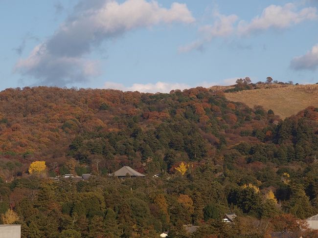 若草山　東大寺　黄葉所々