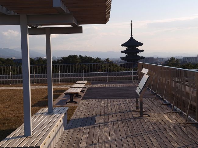 屋上　興福寺　五重塔