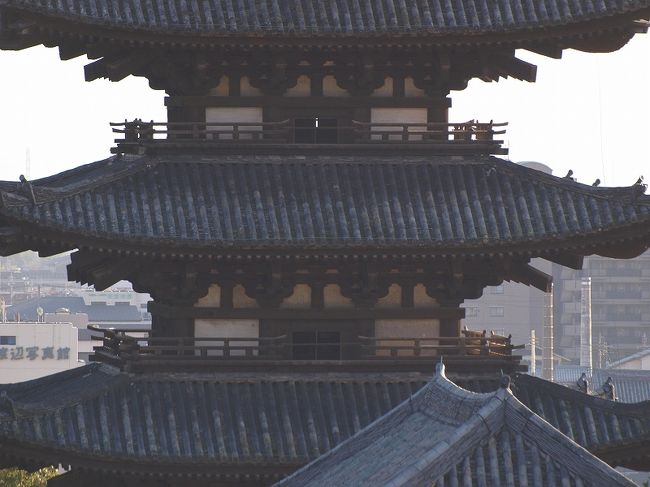 　　望遠ズーム　五重塔