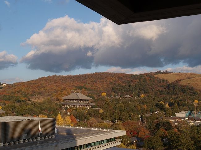 　県庁　屋根　東大寺