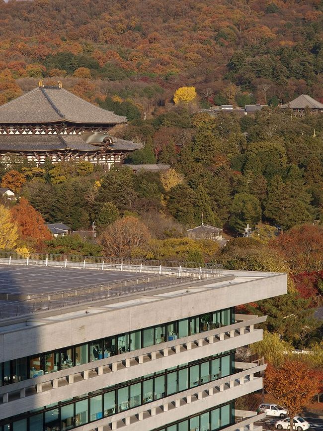 奈良県庁別館　大仏殿