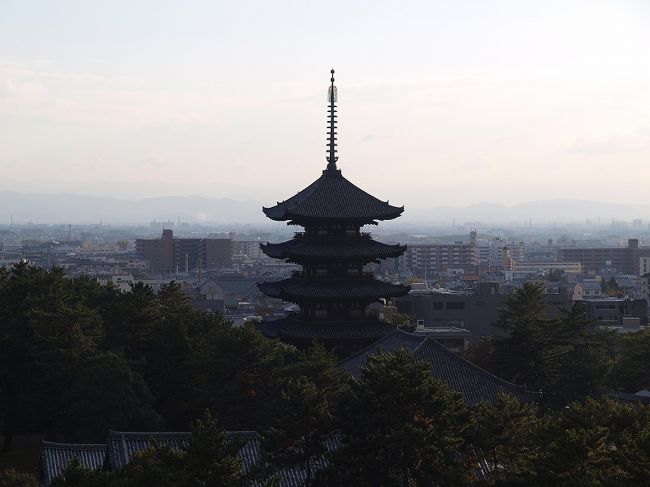 此処まで　そろそろ、、時間で　降ります。