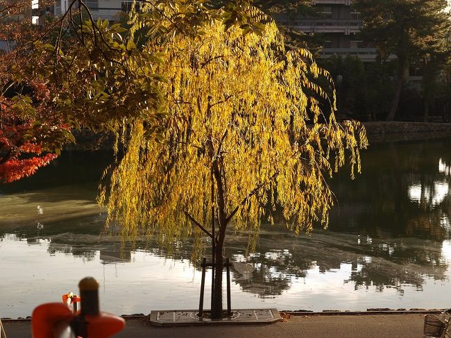 猿沢の池<br /><br />　石段工事中臨時階段から