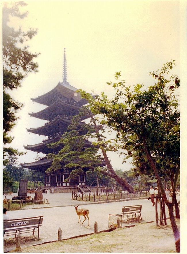 同じ日の五重塔　歩いてるお二人が昭和を感じます