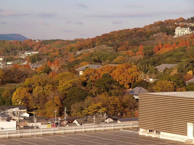 　　正倉院　小さく　見えますか？