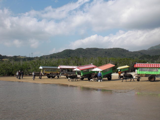 <br />西表島　ここから由布島へ水牛車で渡ります！