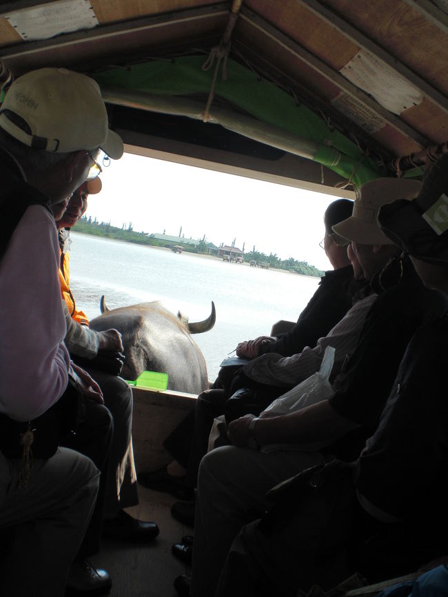 <br /><br />水牛車の様子。<br /><br />先頭のおじさんが、面白い話をしたり、民謡を歌ったりします。