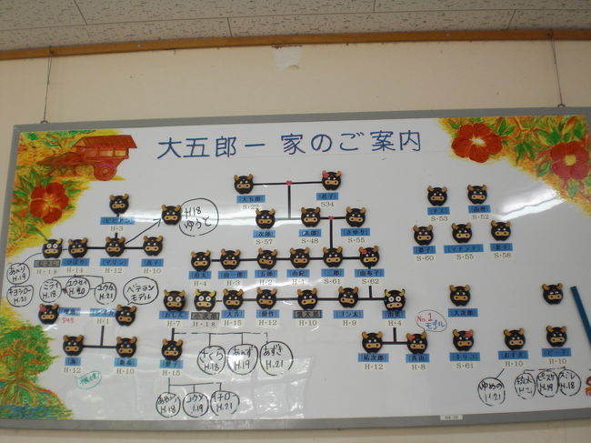 <br /><br />由布島の水牛の家系図