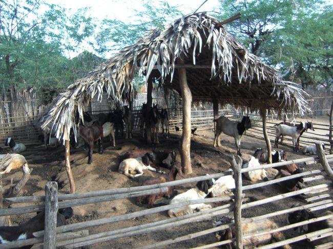 家畜小屋です。とってもオシャレに見えます。