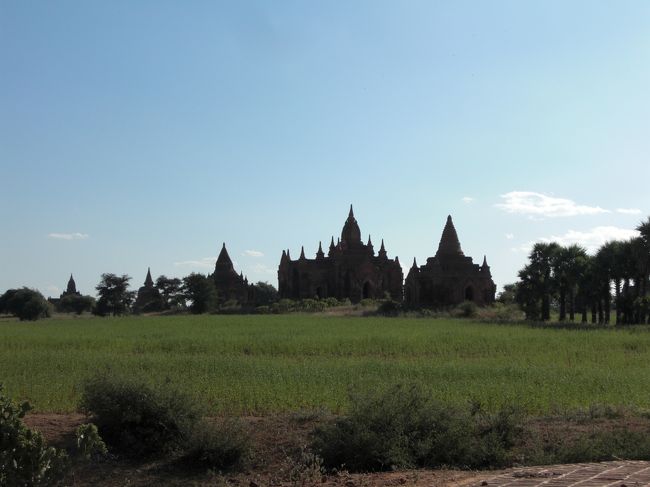 途中迷って畑の中に入ってしました。